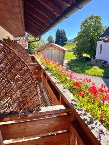 Goldiger Hirsch Pension mit Gemeinschaftsküche