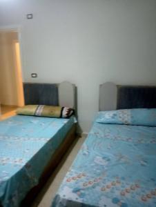 جنات ميامى الساحليه