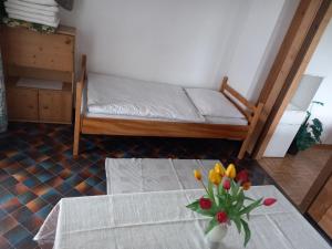 großes Bergpanorama Inmitten Seen- Rad-und Wanderausflüge