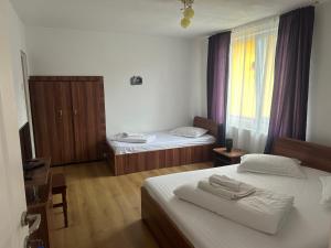 Pensiunea Bujor de Munte