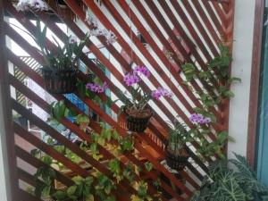 Bo Pla Homestay Trang