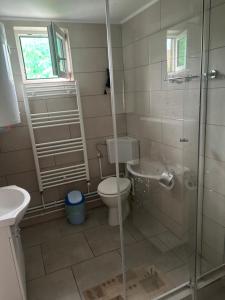 Pensiunea Bujor de Munte