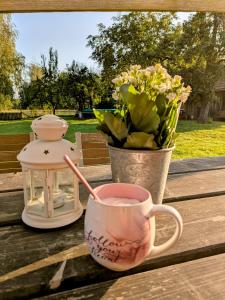Liljas Haus im Spreewald