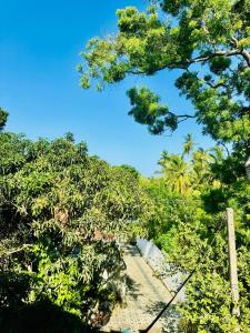 Tharu Holiday Home