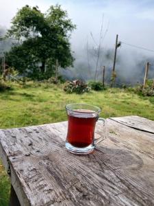 Şimal villa konaklama