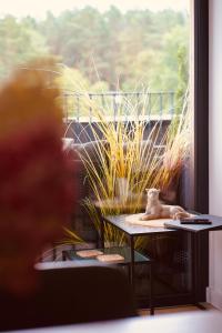 BellaVita Seaside Home