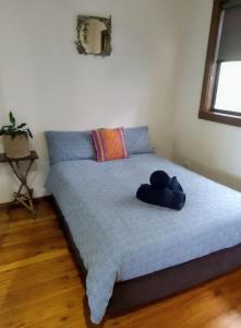 Scotts Head Retreat - Secluded Property