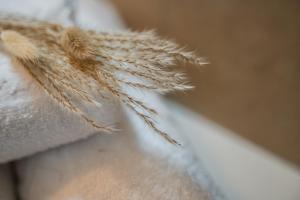 Bologna, Vicino al Centro e Ospedale SantOrsola, Parcheggio Privato - Corde & Colori