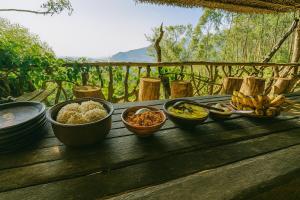 Earth Camping - Ella