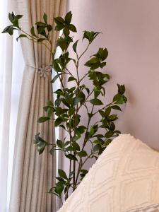 新宿御苑 徒歩8分 新宿三丁目駅徒歩8分 WiFi無料