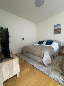 Luxury Modern Apartment with View