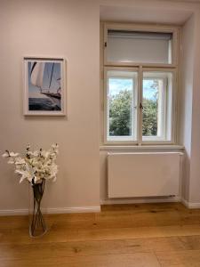 Luxury Modern Apartment with View