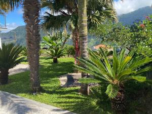 Casa do Cantinho do Muro