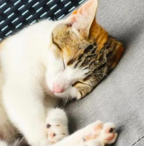 Villa con increíbles vistas al océano y la Gomera