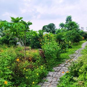 Summer Stations Homestay Binh Chau - Ho Coc Beach - Vung Tau