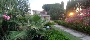 Villa Margherita img19