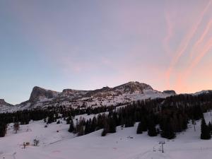 Evasion plein sud, Studio 5 personnes