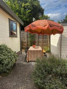 Boutique Budget tinyhouse Veluwe