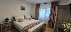 Vintage Central Apartament - 3hvězdičkové hotely ve městě Târgu Jiu