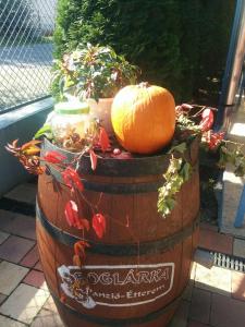 Boglárka Panzió - Étterem