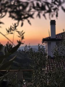 Domus in Monte 