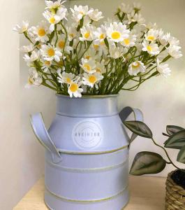 Aveinzor Nest Studio