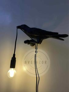 Aveinzor Nest Studio