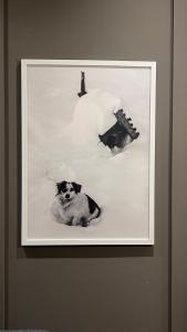 Modern Mountain Mystic Kolasin