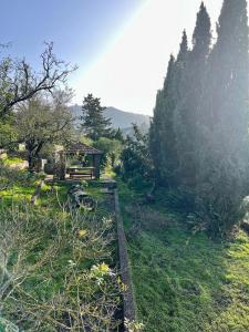 Casa La Veguetilla en San Mateo