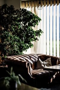 Mellow Mountain Hostel