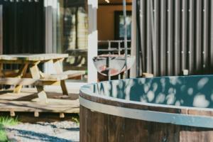 Villarrica Pucón Aldea Molco