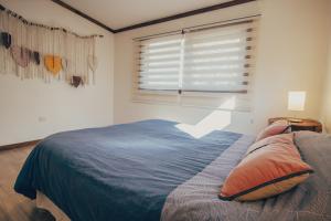 Villarrica Pucón Aldea Molco