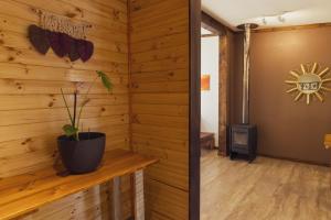 Villarrica Pucón Aldea Molco