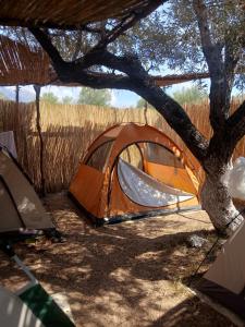 Camping Ullishtja