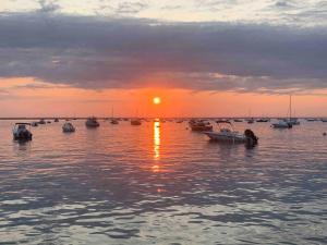 studio Côté Bassin