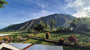Pondok Arum Rinjani