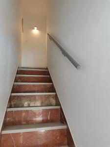 Casasjerezanas Valerian