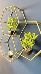 Traumwerk 24 - Jakober City Loft