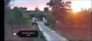 Villa Monsignore 1067