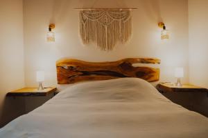 Aldea Molco Cabaña PEWEN