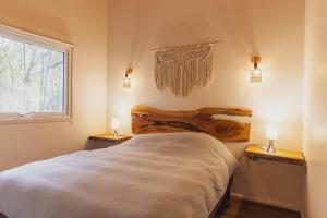 Aldea Molco Cabaña PEWEN