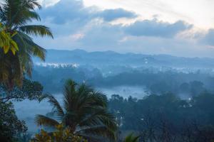 Cinnamon View Galle