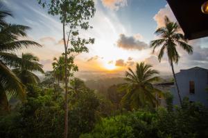 Cinnamon View Galle