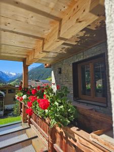 Apartment Fernerblick