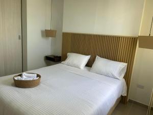 Vicmag house barranquilla