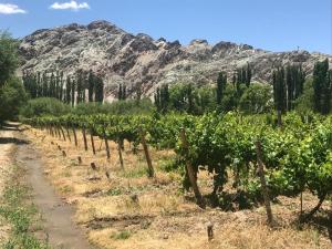 FINCA TIERRA CALMA Casa 2