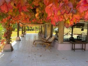 FINCA TIERRA CALMA Casa 1