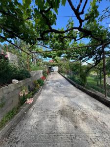 Emily Cottage house in Gjirokaster