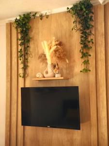 Studio apartman na plaži