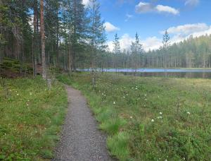 Paritalomökki Pytkynharjussa